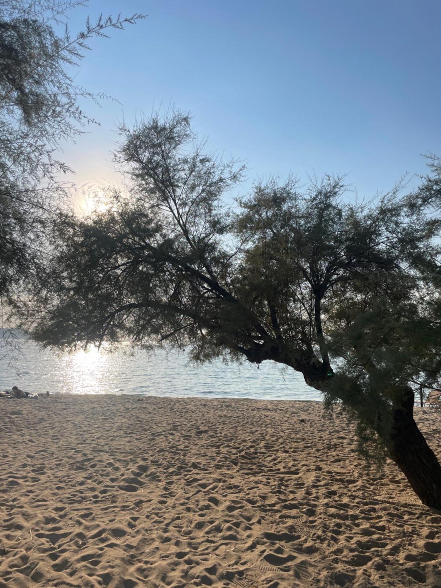M-Home, My Paradise Home Νέος Μαρμαράς Εξωτερικό φωτογραφία